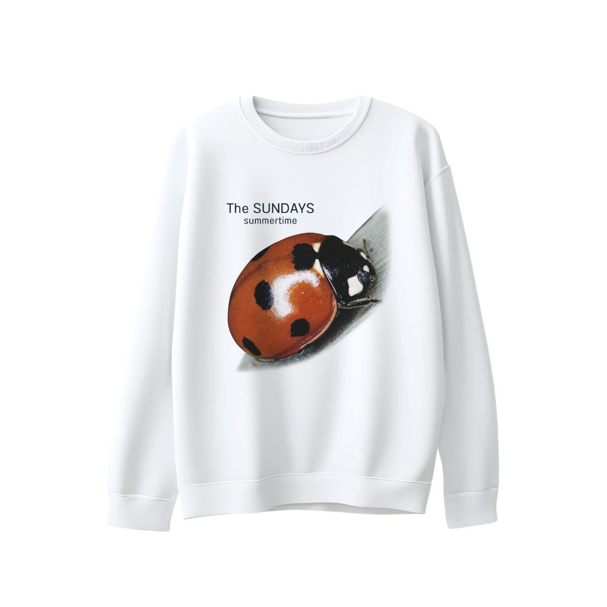 The Sundays Summertime Ladybug – Minimal Indie Nature Graphic Tee