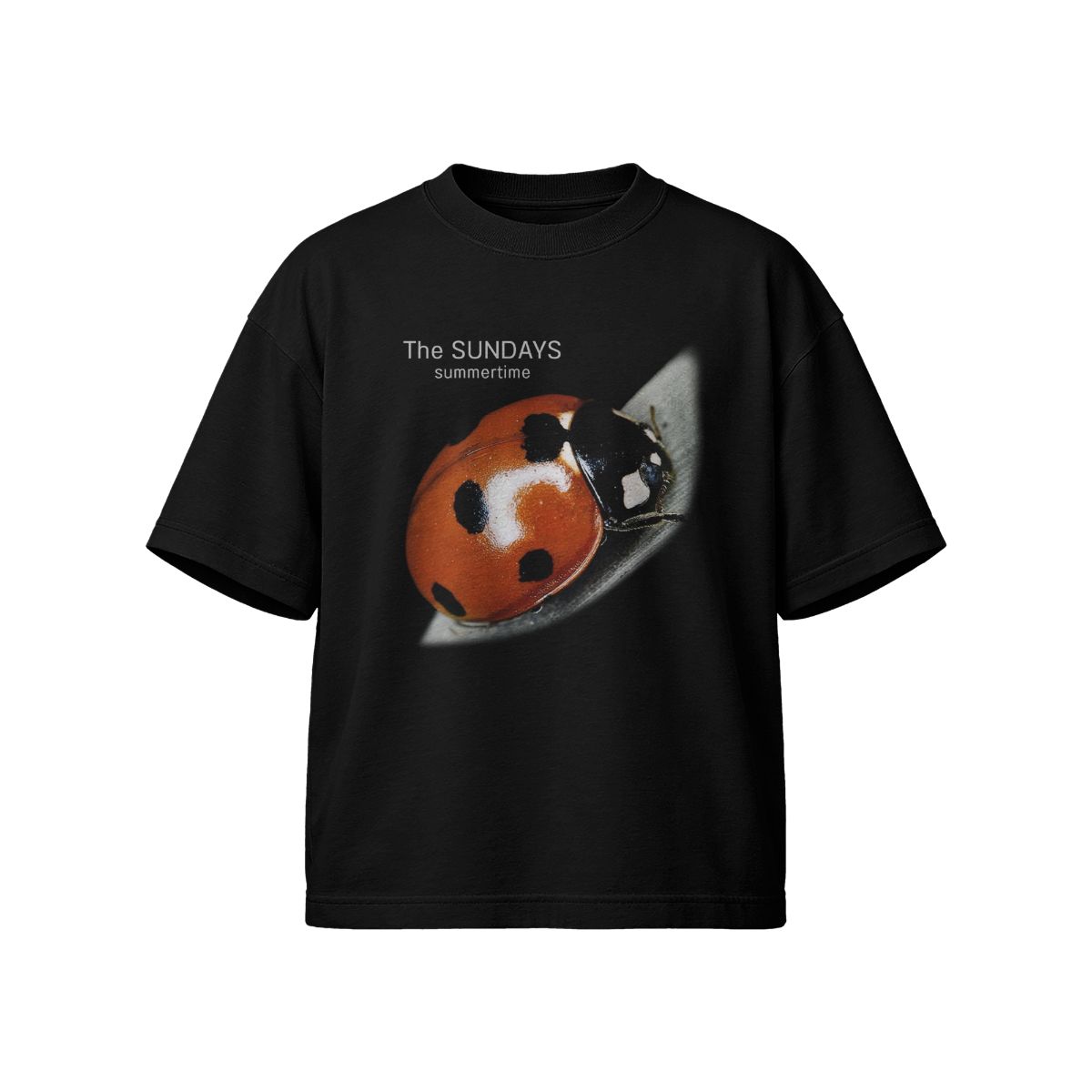 The Sundays Summertime Ladybug – Minimal Indie Nature Graphic Tee