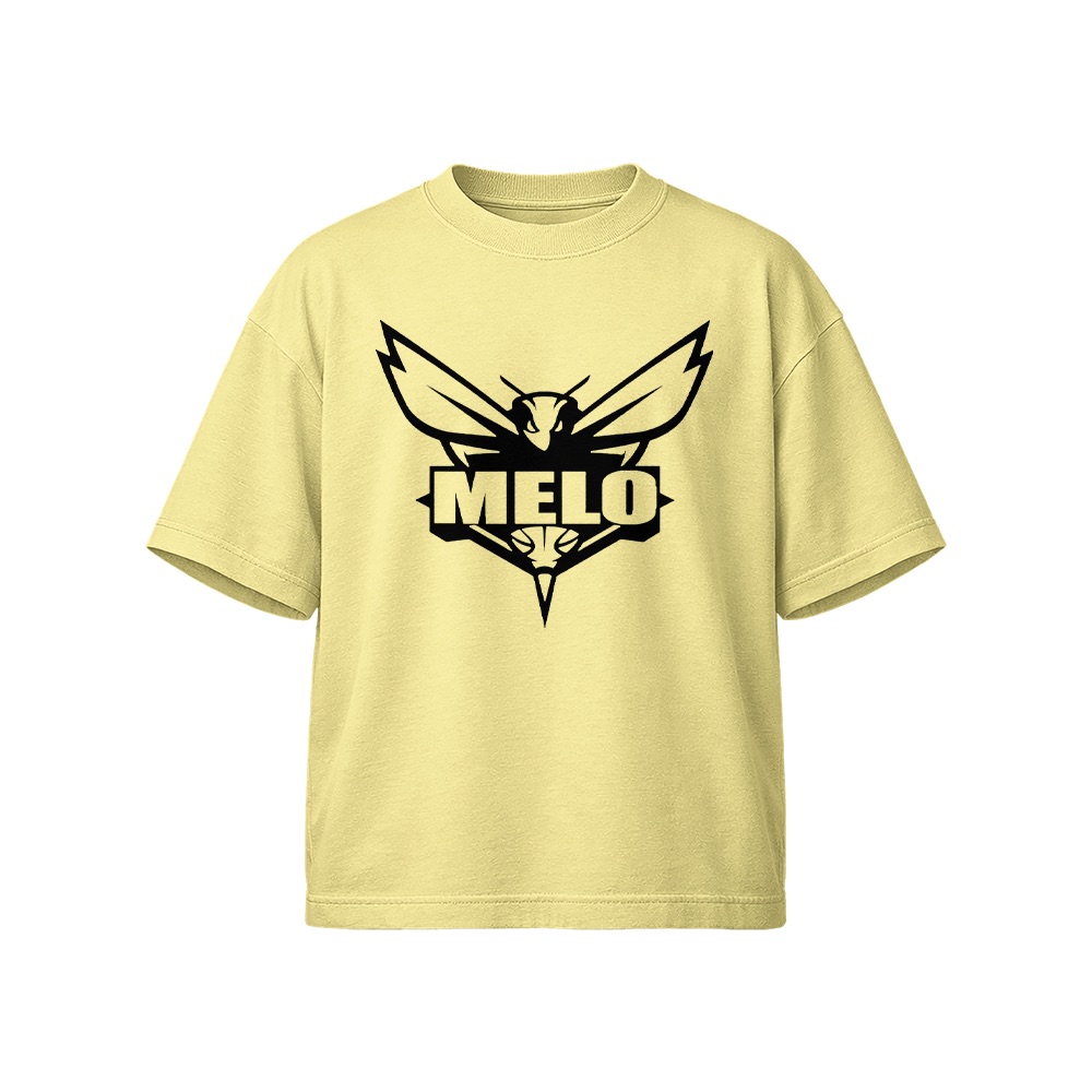 LaMelo Ball T-Shirt – Vintage Melo Charlotte Hornets Basketball Graphic Tee