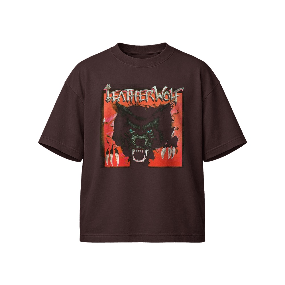 Little Dragon T-Shirt – Vintage Ritual Union Electronic Pop Band Graphic Tee