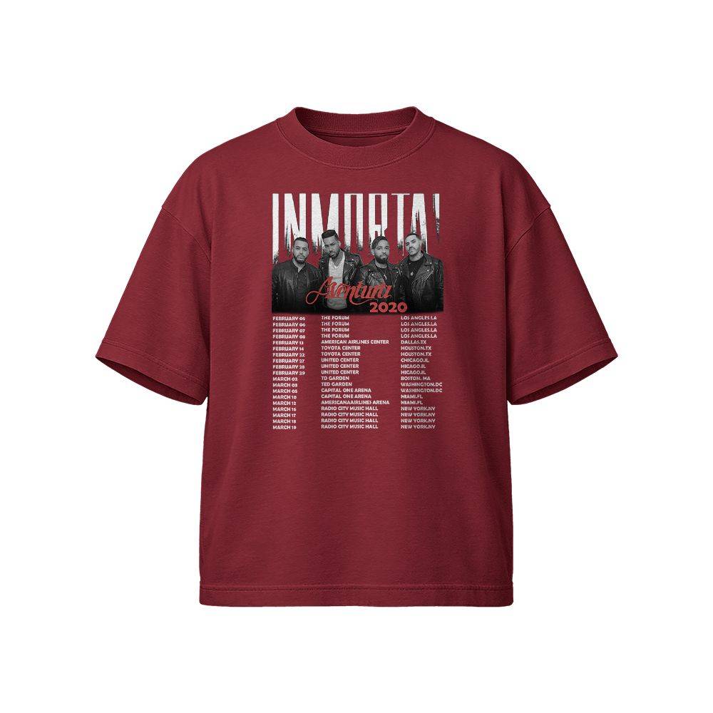 1979 UFO World Tour T-Shirt – Strangers in the Night Tee 